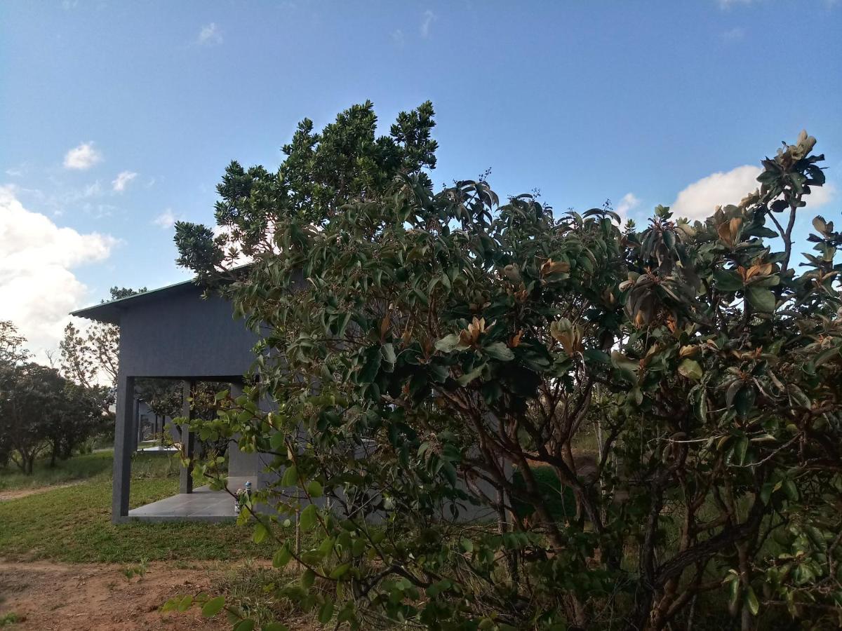 Chales Recanto Da Baleia Alto Paraíso de Goiás Zewnętrze zdjęcie